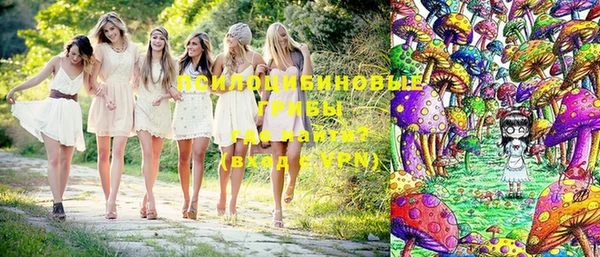 МДПВ Остров