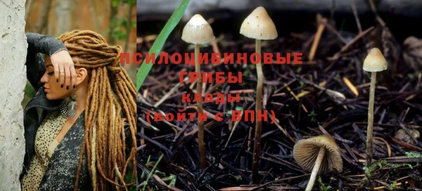 кокс Осташков