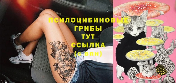 марки lsd Осинники