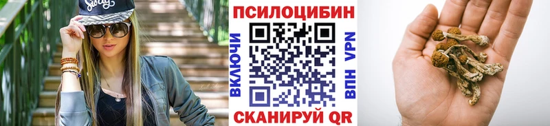 Псилоцибиновые грибы Psilocybe  Купить закладки  Куровское 
