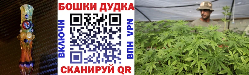 Купить где  Куровское  Бошки Шишки Amnesia 